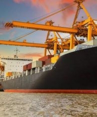 LEO SHIPPING Launches New Digital Tracking Platform